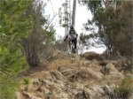 Scaled Image 4.jpg