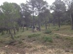 Foto 27-10-12 09 54 54 (Copiar).jpg