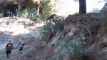 resized_IMG_0489.jpg