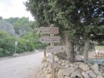 IMG_1331.JPG
