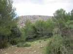 IMG_1336.JPG