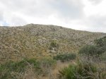 IMG_1339.JPG