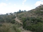 IMG_1342.JPG