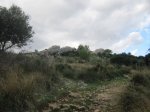 IMG_1345.JPG