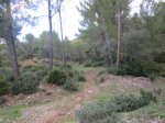 IMG_1346.JPG