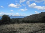 IMG_1348.JPG
