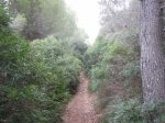 IMG_1350.JPG
