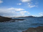 IMG_1356.JPG