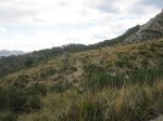 IMG_1360.JPG