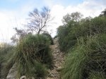 IMG_1363.JPG