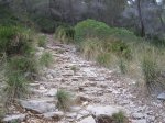 IMG_1366.JPG