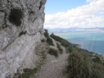 IMG_1375.JPG