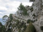 IMG_1377.JPG
