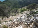 IMG_1400.JPG