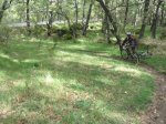IMG_0108.JPG