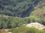 IMG_0849.jpg