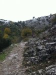 la foto(2).JPG