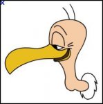 Beaky Buzzard.JPG