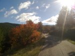 281020121392.jpg