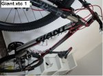 giant 3.jpg