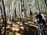 IMG-20121029-WA0026.jpg