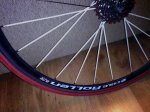 IMG_20121029_192602.jpg