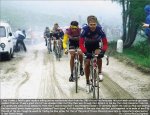 hampsten.jpg