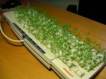 dirtykeyboard.jpg