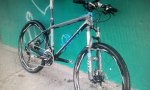 bici trek.jpg