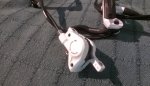IMAG0445.jpg