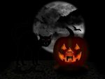 La%20Noche%20Halloween-824401_800.jpg