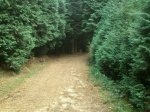 rps20121031_210435.jpg
