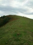 rps20121031_210802.jpg
