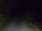 PA310035.JPG