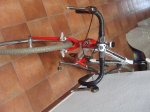 DSC01300.JPG