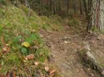 IMG_1414.JPG