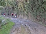 DSC01691.jpg