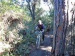 DSC01707.jpg