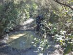 DSC01728.jpg