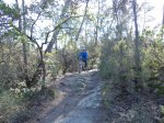 DSC01730.jpg
