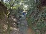 DSC01733.jpg