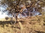 2012-11-01 16.35.22.jpg