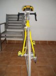IMGP4548.JPG