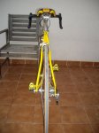 IMGP4549.JPG