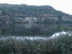 Patos pantano.JPG