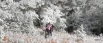 DSCN1139.JPG