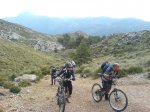 coll-deia-coll1.jpg