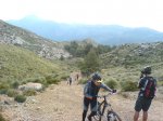 coll-deia-coll2.jpg