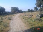 06.colmenar a chapi.JPG
