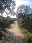 15.chapi a aldea.JPG